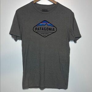 Patagonia Fitz Roy crest logo T-shirt